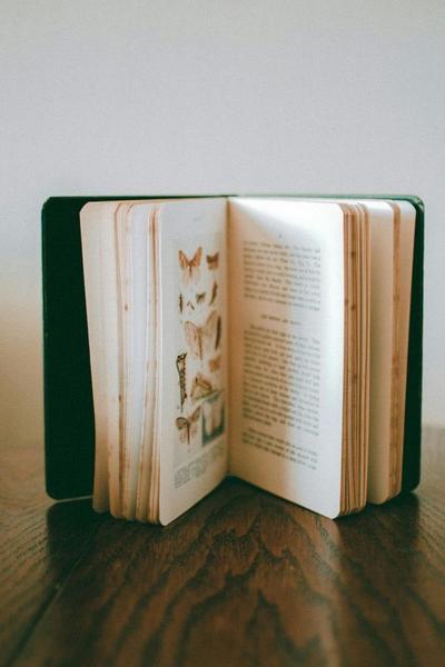picture of book product.